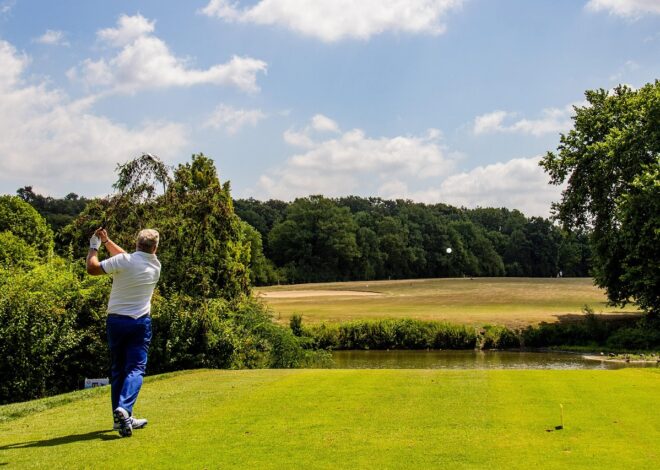 Mississauga Lawn Maintenance: Expert Seasonal Care and Reliable Service Plans