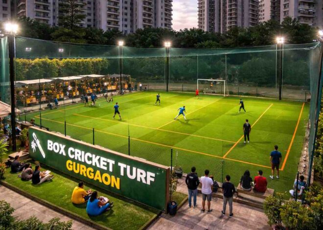 Whose Responsibility Is Maintenance of Box Cricket Turf in Gurgaon