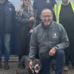 Local Skip Hire Cardiff for Fast & Reliable Waste Control