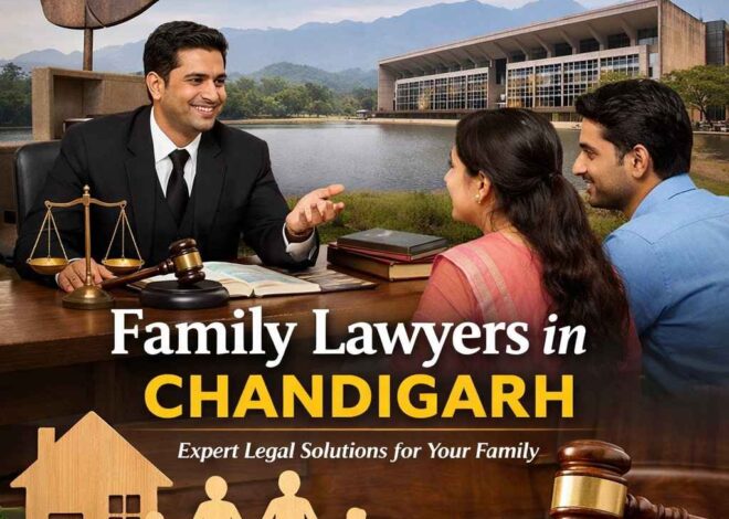 What Is the Role of Family Lawyers in Chandigarh Courts