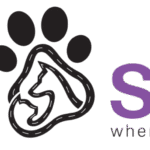 Why Regular Dog Grooming in Dubai is Essential for Your Pet’s Health