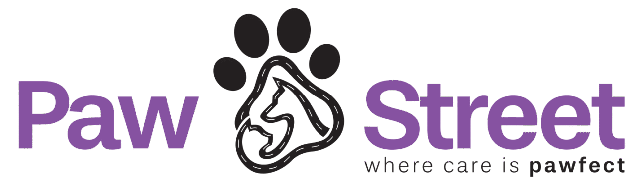 Why Regular Dog Grooming in Dubai is Essential for Your Pet’s Health