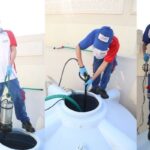 How Effective Is Deemak Control Spray in Lahore for Long-Term Termite Protection?