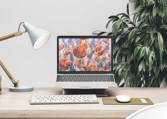 Best Web Design Company Dubai for Premium Websites