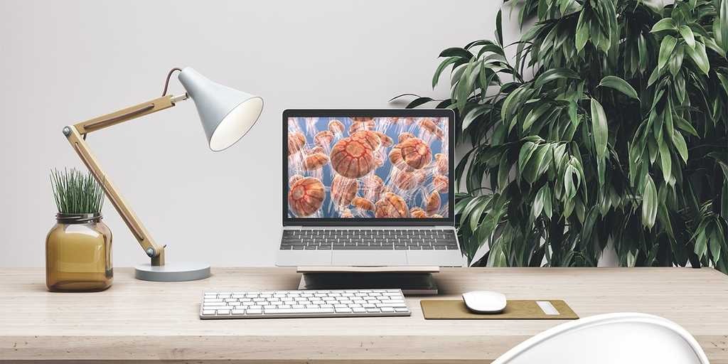 Best Web Design Company Dubai for Premium Websites