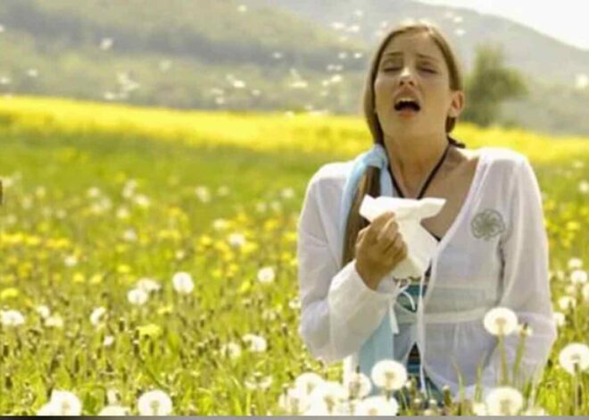 Hayfever Injections: What They Are, How They Work, and Which Option Might Help You