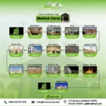 Best Makkah Ziyarat Places and Hassle-Free Transport from Madinah Airport to Madinah